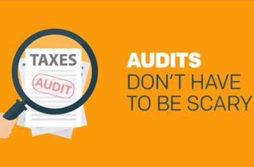 audit, audit meaning, what is auditing